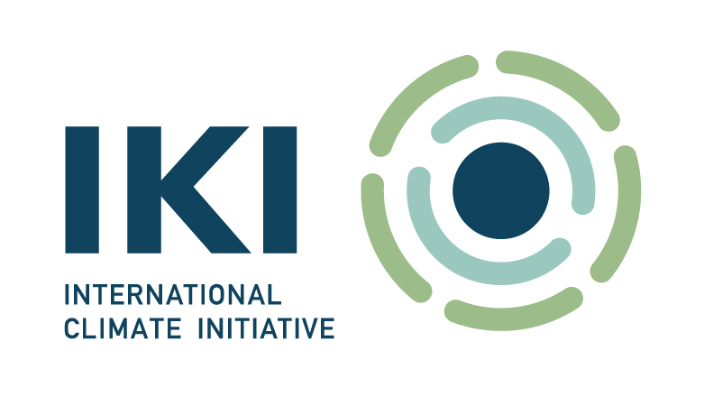 IKI logo